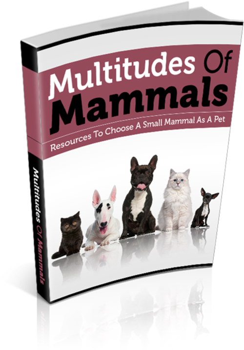 Product picture Multitudes Of Mammals